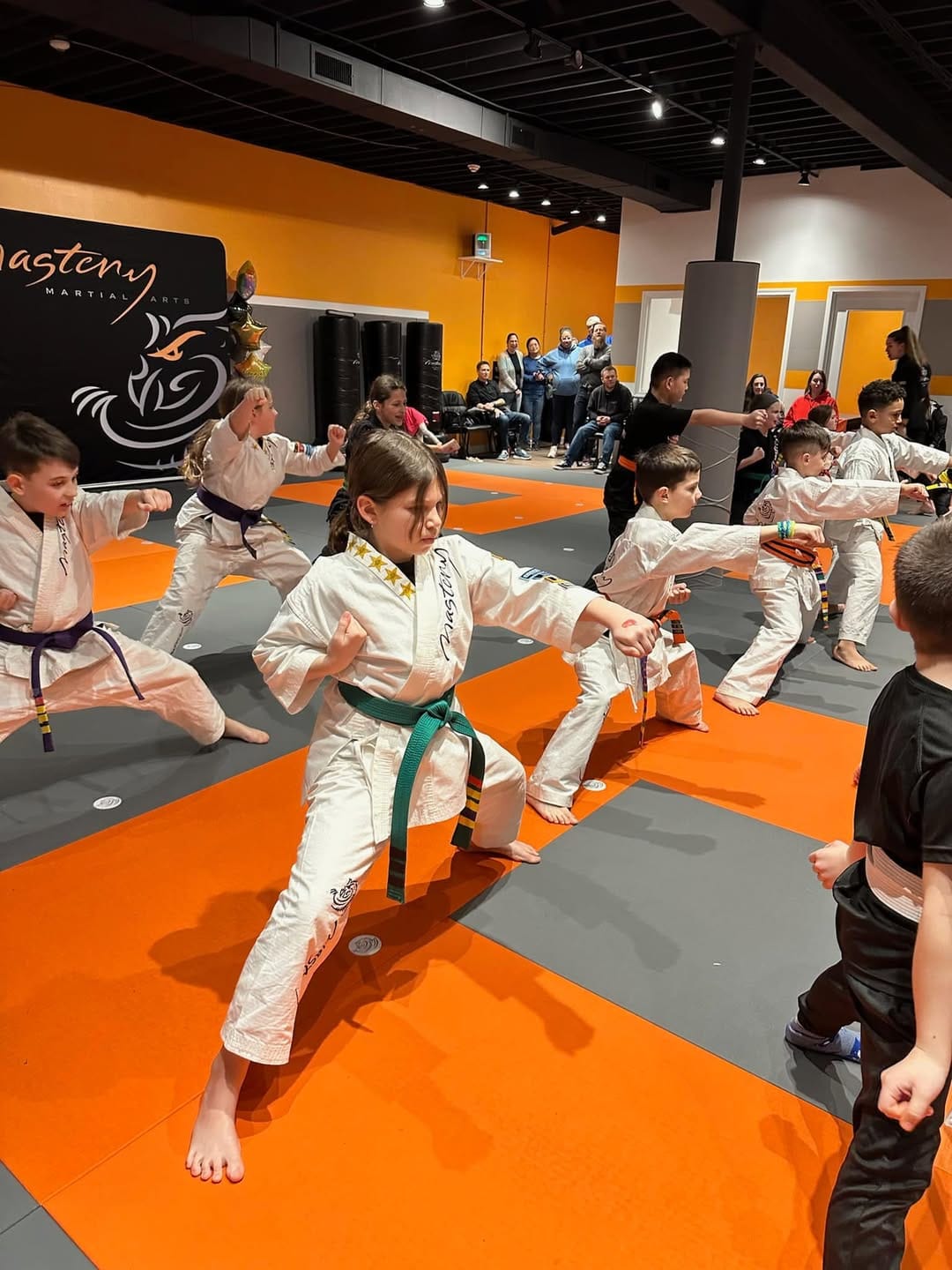Kids in the karate belt order at Mastery Martial Arts Troy MI, yellow, orange, green, purple and black belts training together