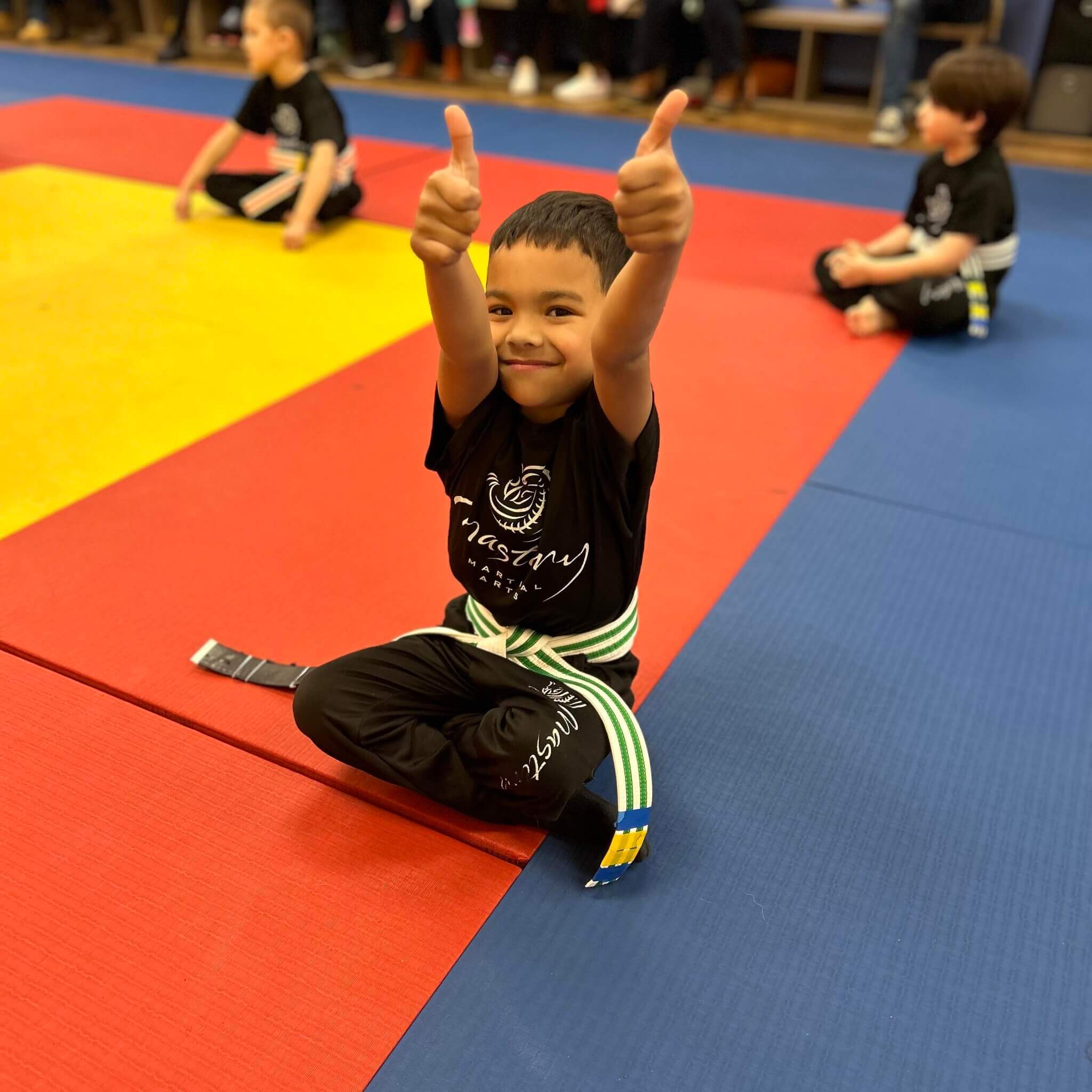 Little Dragons taekwondo program for ages 4-6 near Royal Oak MI