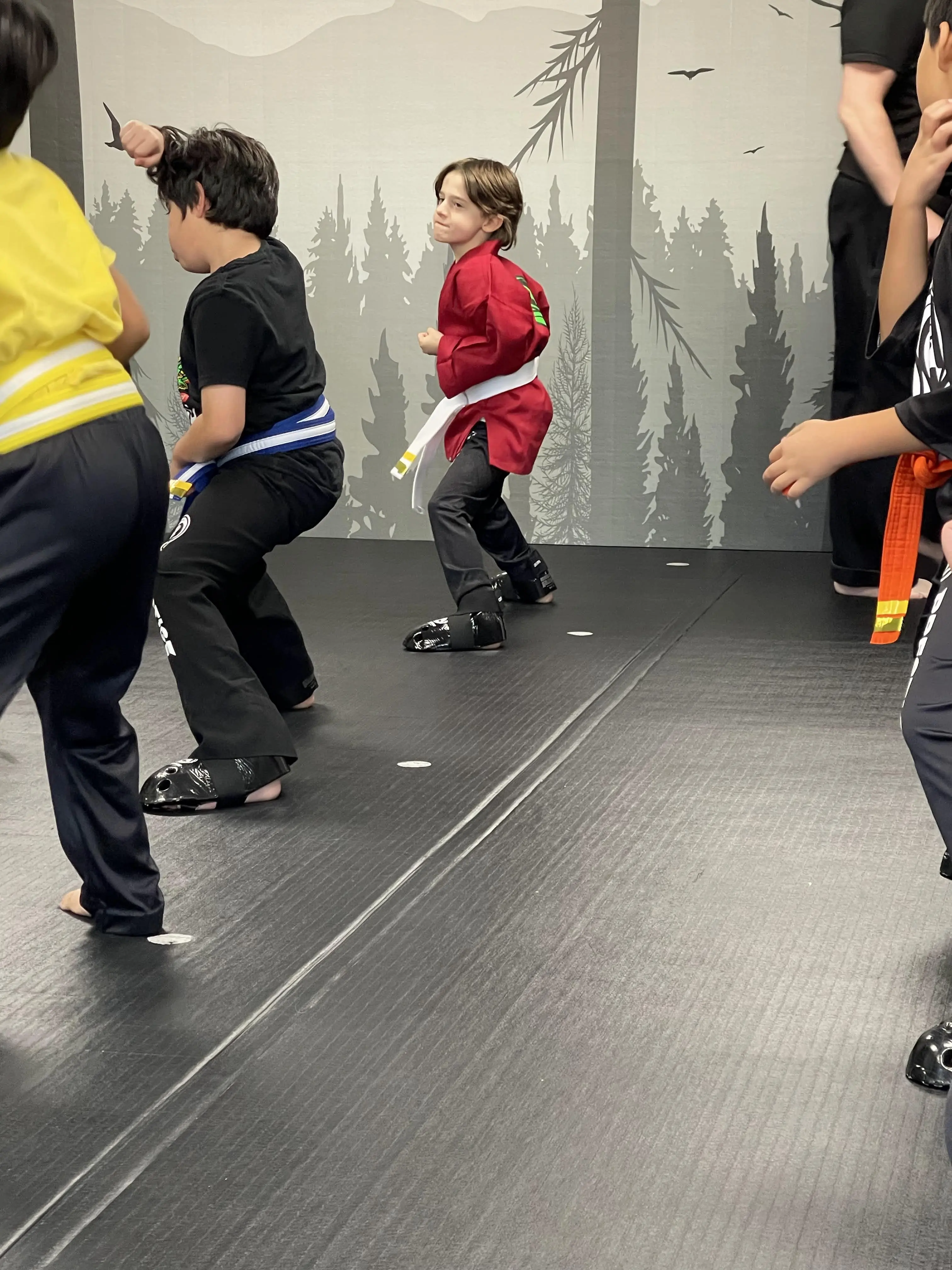 Black Belt Story – Avi Braun 6 Avi Braun posing confidently with another student at Mastery Martial Arts school in Troy