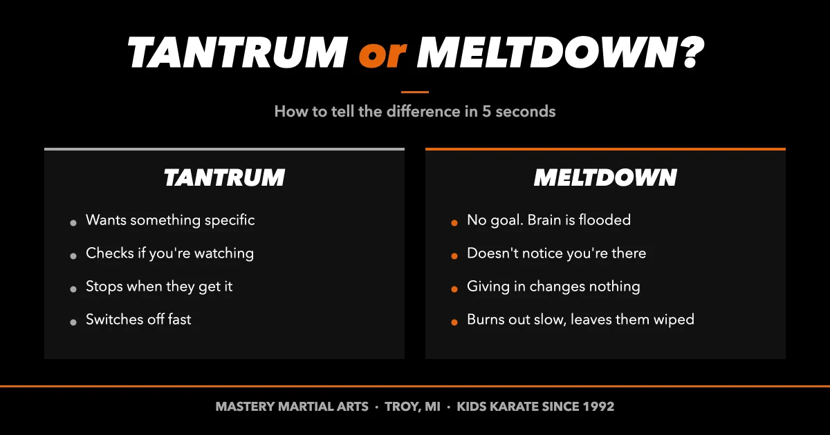 Tantrum vs meltdown comparison chart for parents of kids in Troy MI